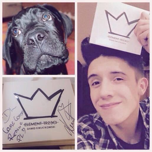 licytacja na rzecz podopiecznych  Cane Corso Rescue Poland