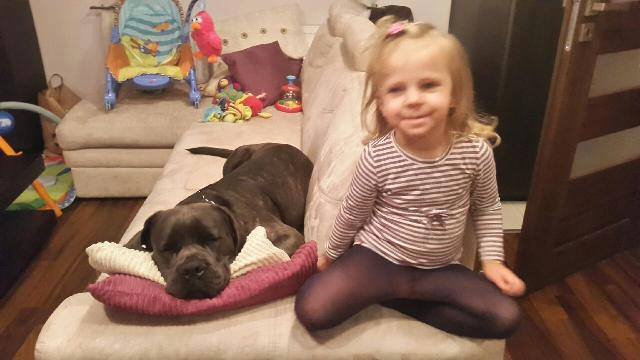 Bonita w nowym domku