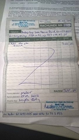 Rachunek za hotelik dla Belli