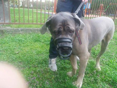 WItamy na pokładzie NOWEGO