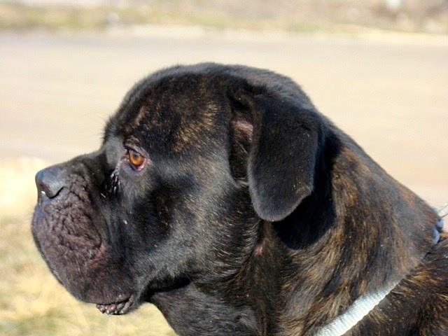 kolejna bida potrzebująca pomocy