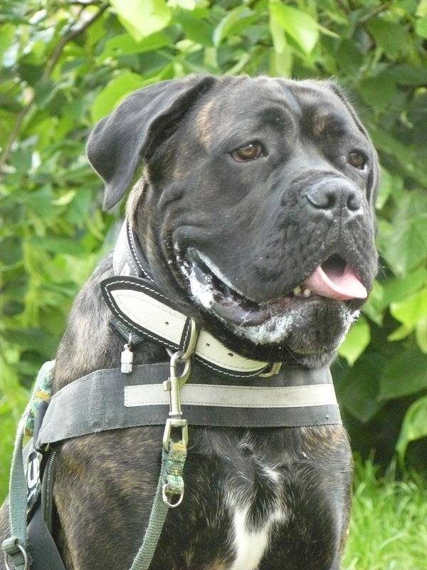 SUNIA zostaje w rodzinie