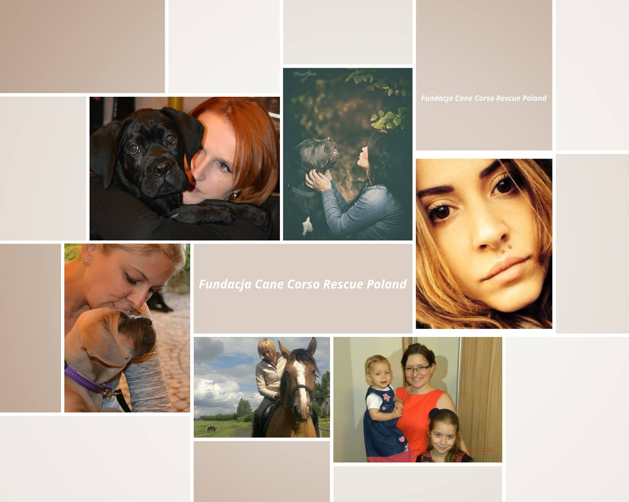 Cane Corso Rescue Poland - już oficjalnie