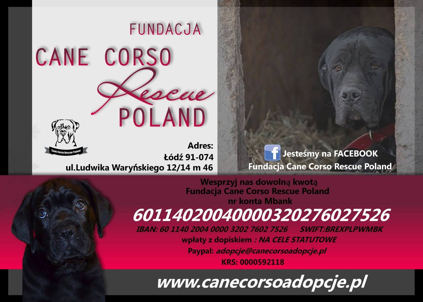 Dane Fundacji Cane Corso Rescue Poland