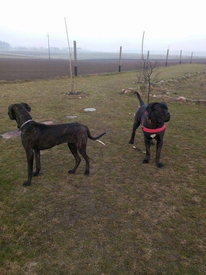 Bella z braciszkiem już na swoich włościach 