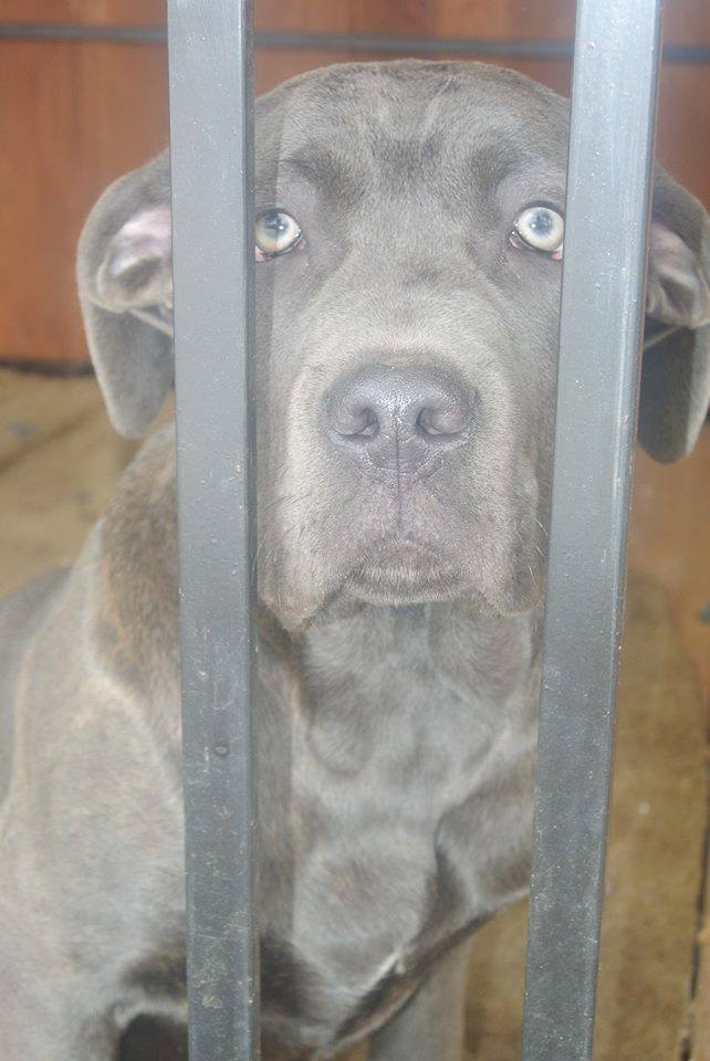 Maleńka już w swoim domu