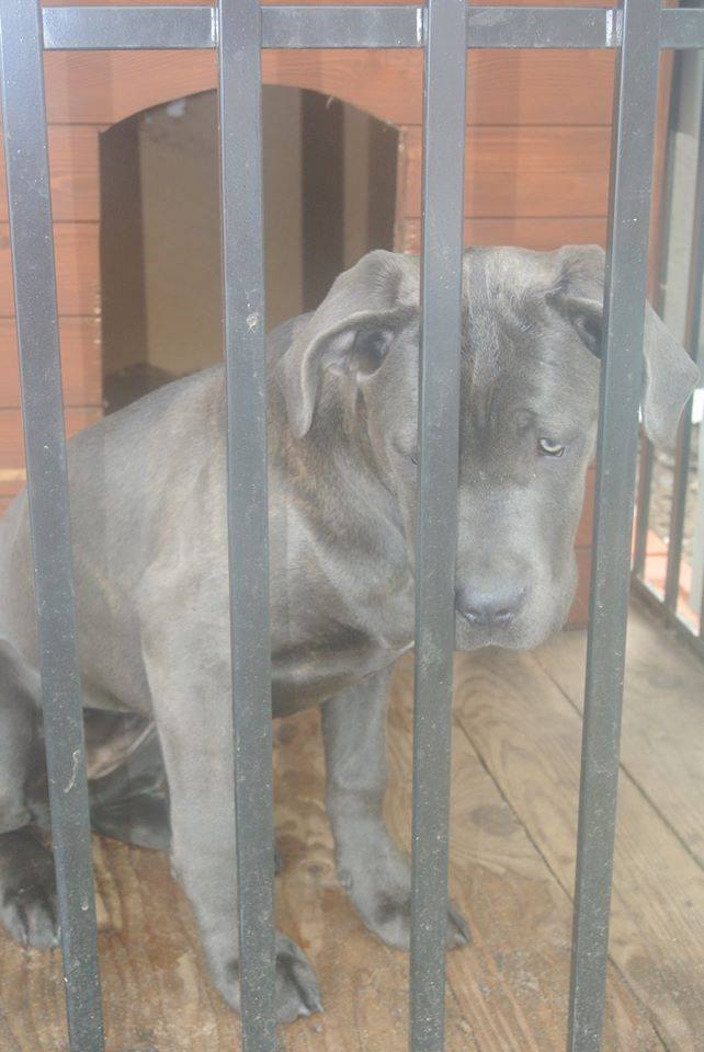 Maleńka - czyja zguba?