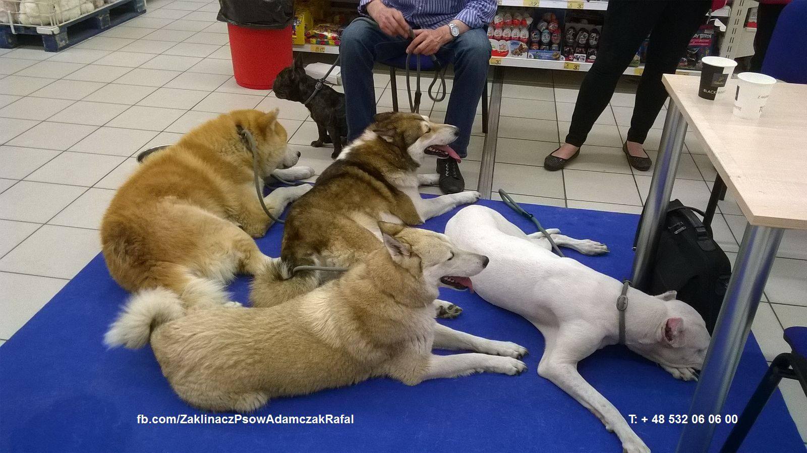 Co nowego u Atlanty?