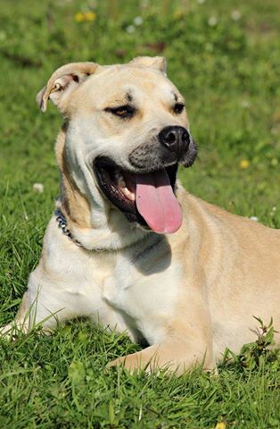 Milly ma swój dom!!!