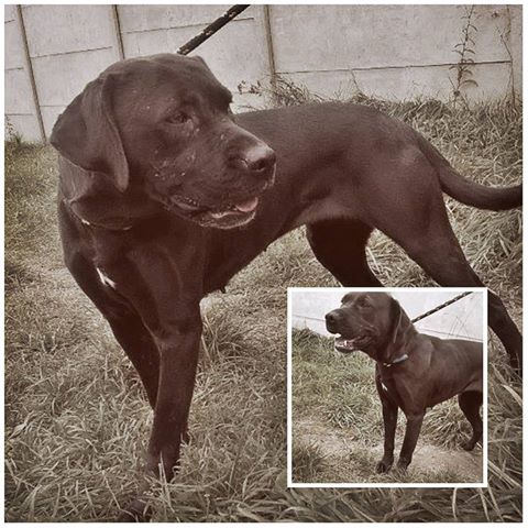 Kolejna chudzinka potrzebuje pomocy