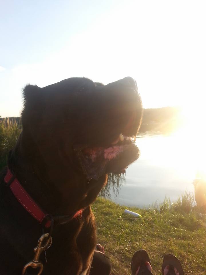 Hexinka odeszła za tęczowy most ;(