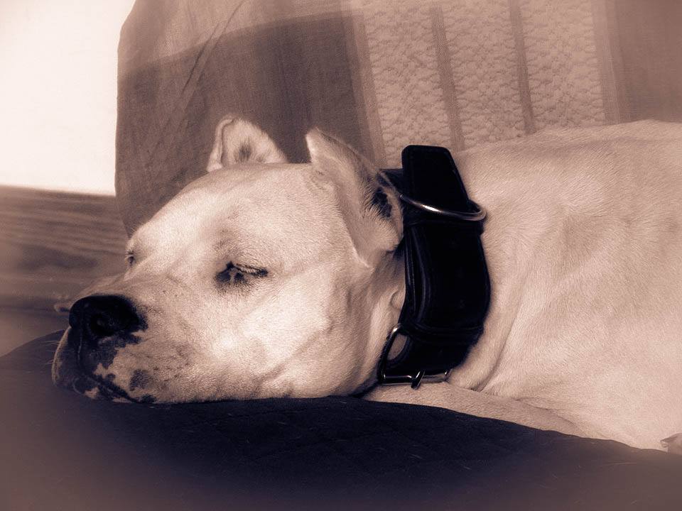 Nasza Atlanta zagrała w teledysku ;)