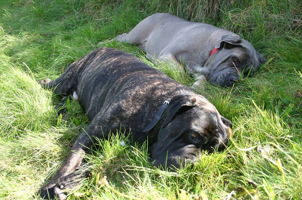 Draga i Loco ślą pozdrowienia