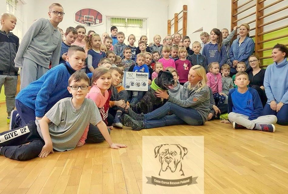 Cane Corso Rescue Poland wkracza do szkół . Opowiadamy dzieciom o  bezdomności, adopcji i empatii do zwierząt. 