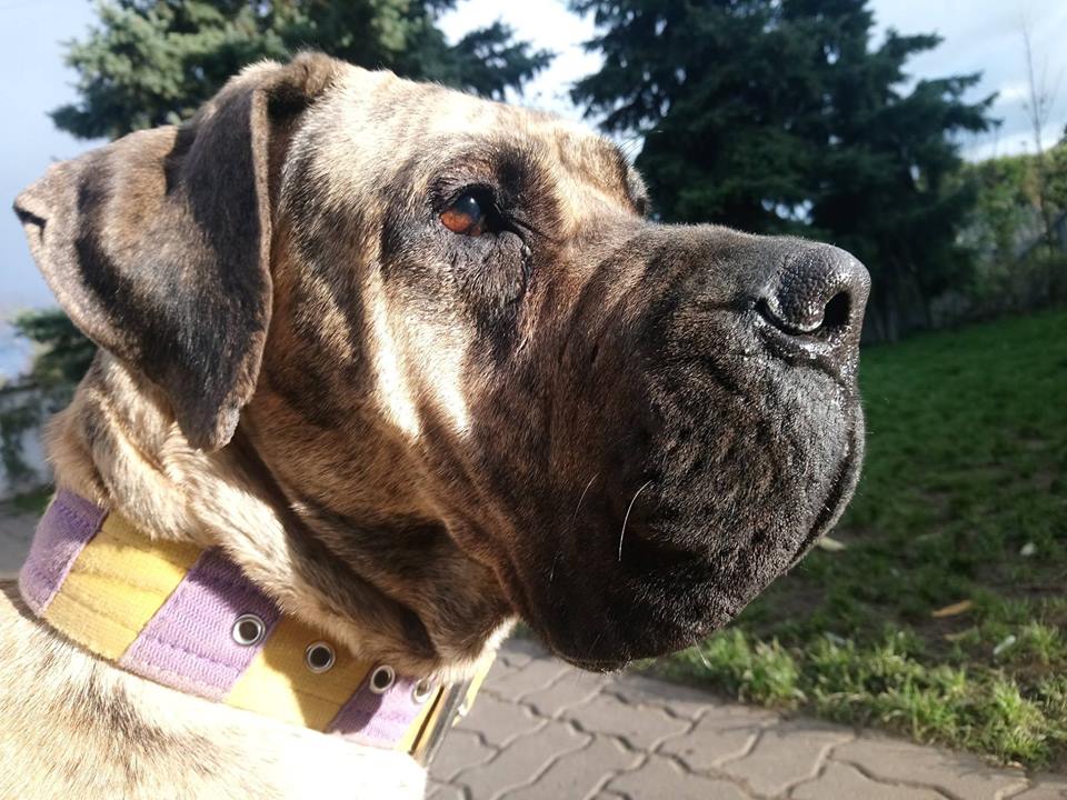 Didi- wypachniona, zadowolona czeka na Ciebie Człowieku.