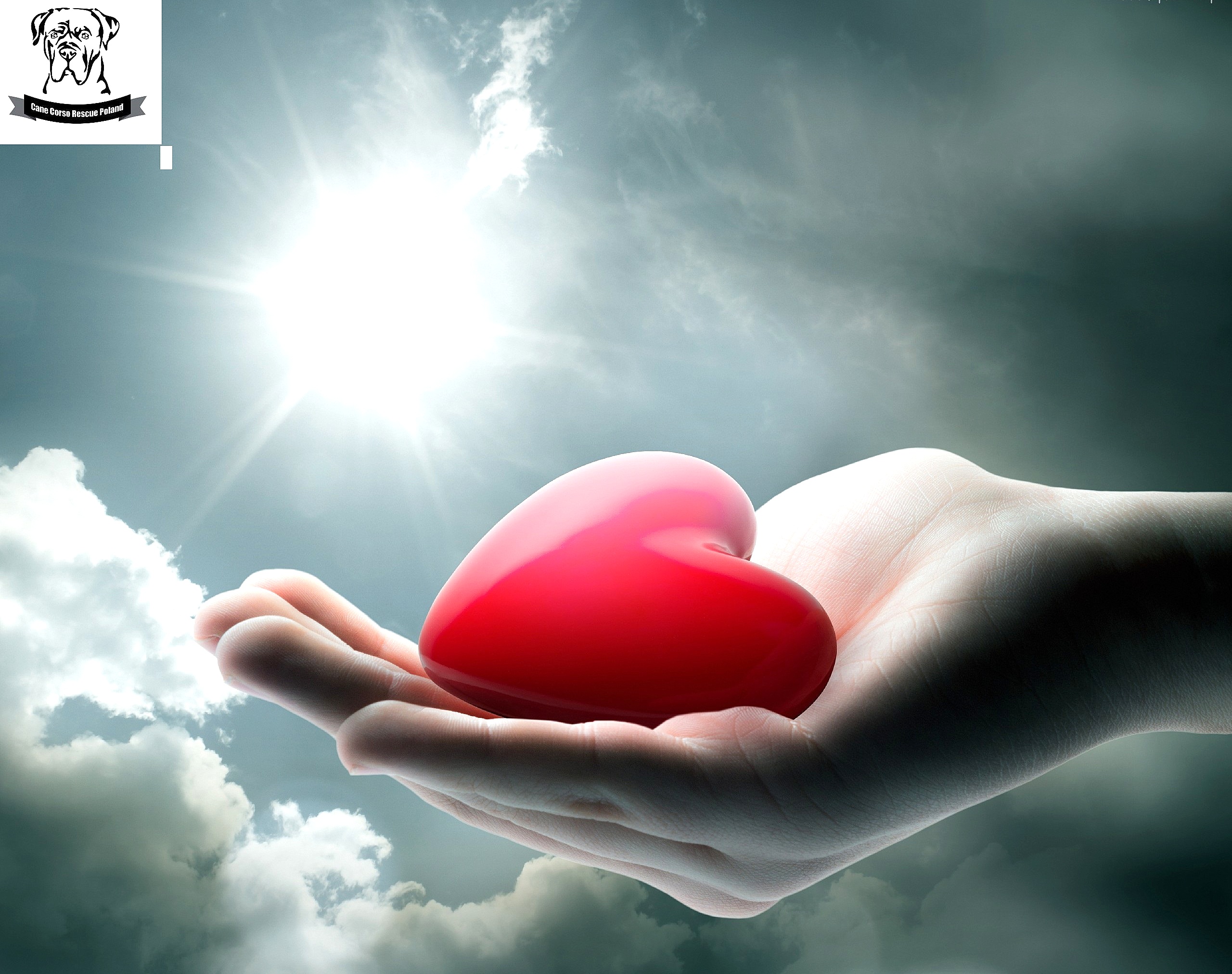 Dziękujemy, że z nami jesteście i pomagacie nam pomagać :) 