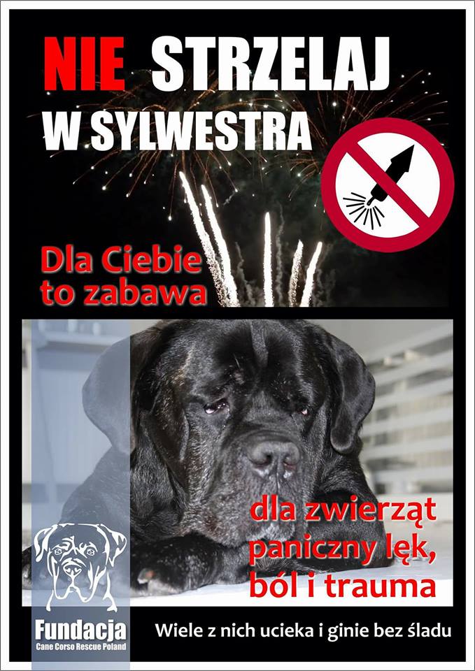 Petardy :( Zaczęło się!