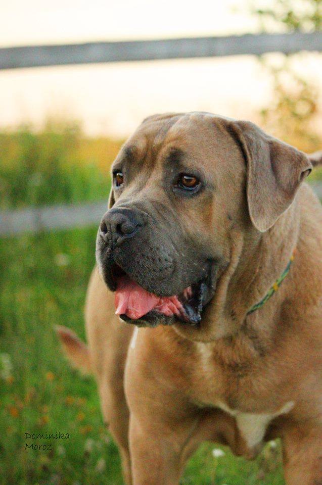 Witamy na pokładzie Kajzera