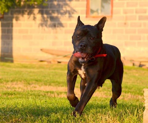 Witamy na pokładzie NEGRĘ