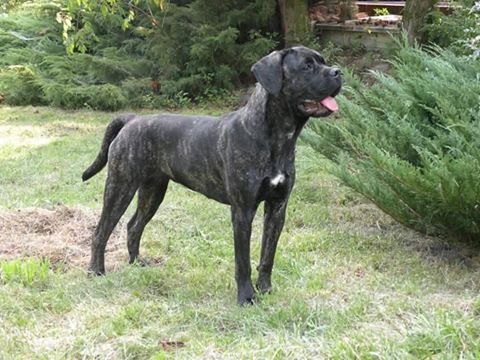 Witamy na pokładzie Janis