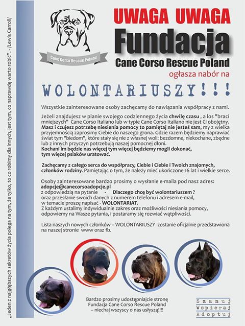 Zapraszamy do wolontariatu <3