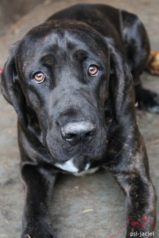 Kochani czy ktoś może jedzie na trasie między Wrześnią a Mrągowem ..lub Warszawą ?? .