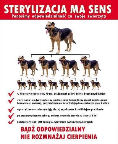 UWAGA mieszkańcy ŁASKU! BEZPŁATNE ZABIEGI STERYLIZACJI I KASTRACJI !!! BEZPŁATNE CZIPOWANIE !!!