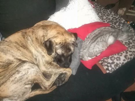 Gucio pozdrawia Wszystkich <3 Buziaki śliniaki :D