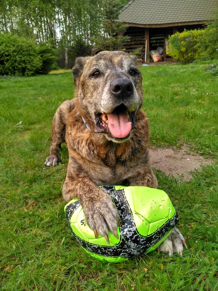 trzymajcie kciuki za Dziadziusia