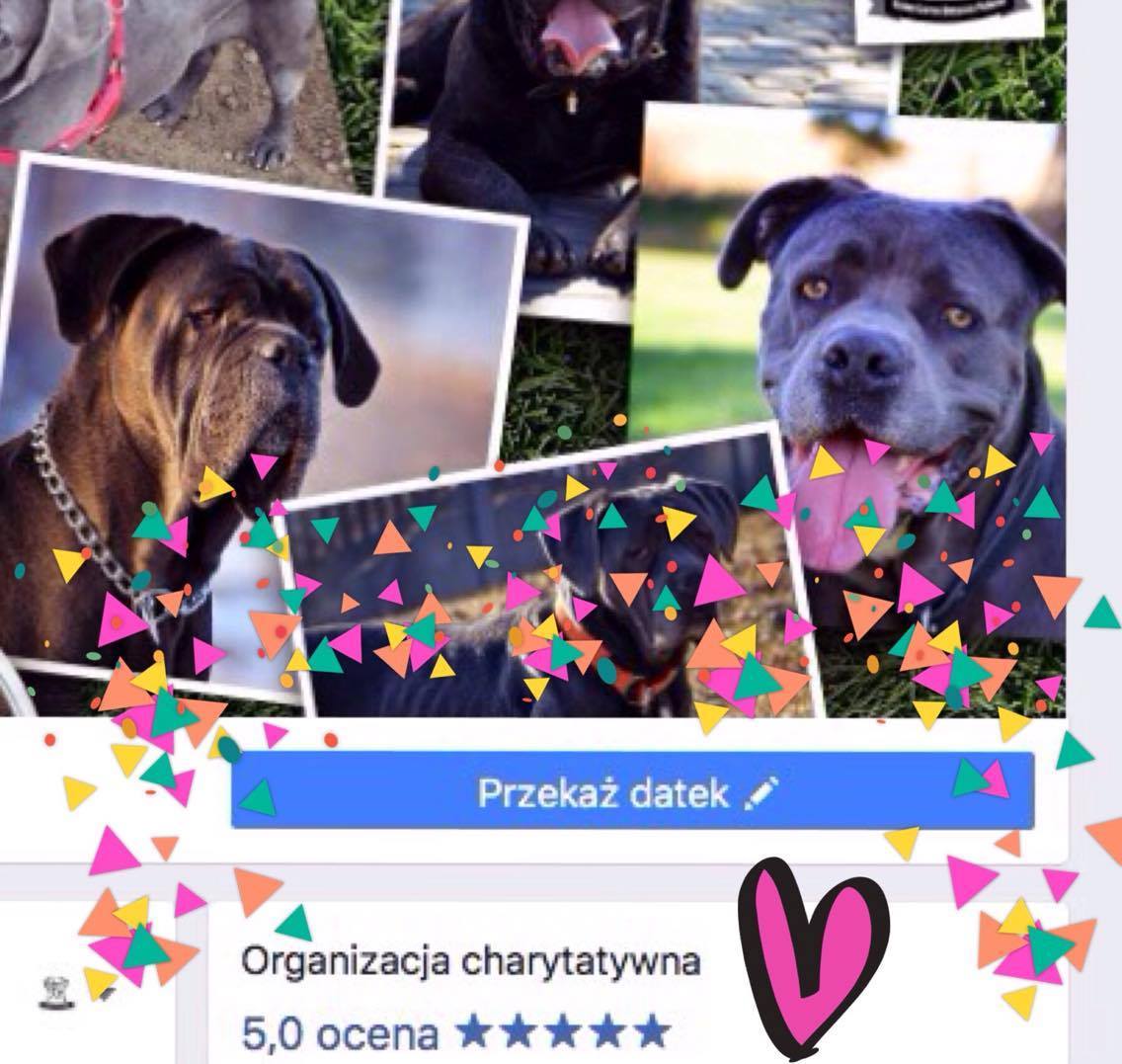 Szybk i łatwo można na naszej stronie przekazać datek na nasze psiaki - zapraszamy