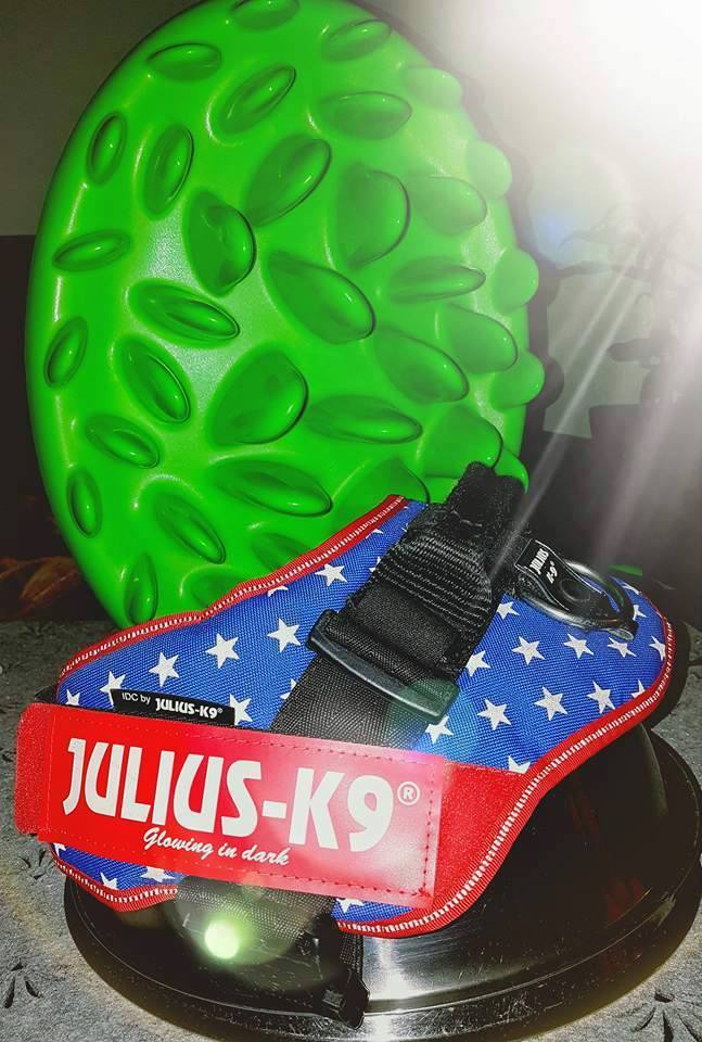 Dary dla naszych Podopiecznych 