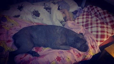 Atena pozdrawia z nowego domu