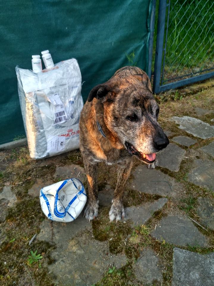 Ogromnie dziękujemy naszym Darczyńcom i wielbicielom naszego dziadka Drako.