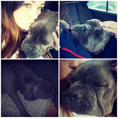 Dziękujemy Rodzinie Atenki za miłość i ogrom serca dla dziewczynki <3