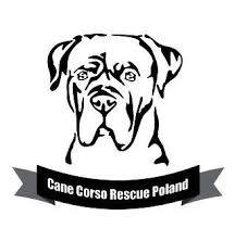 <3 Dziękujemy ! Jesteście WIELCY <3  Z Pozdrowieniami i wyrazami Szacunku - Zespół Fundacji Cane Corso Rescue Poland