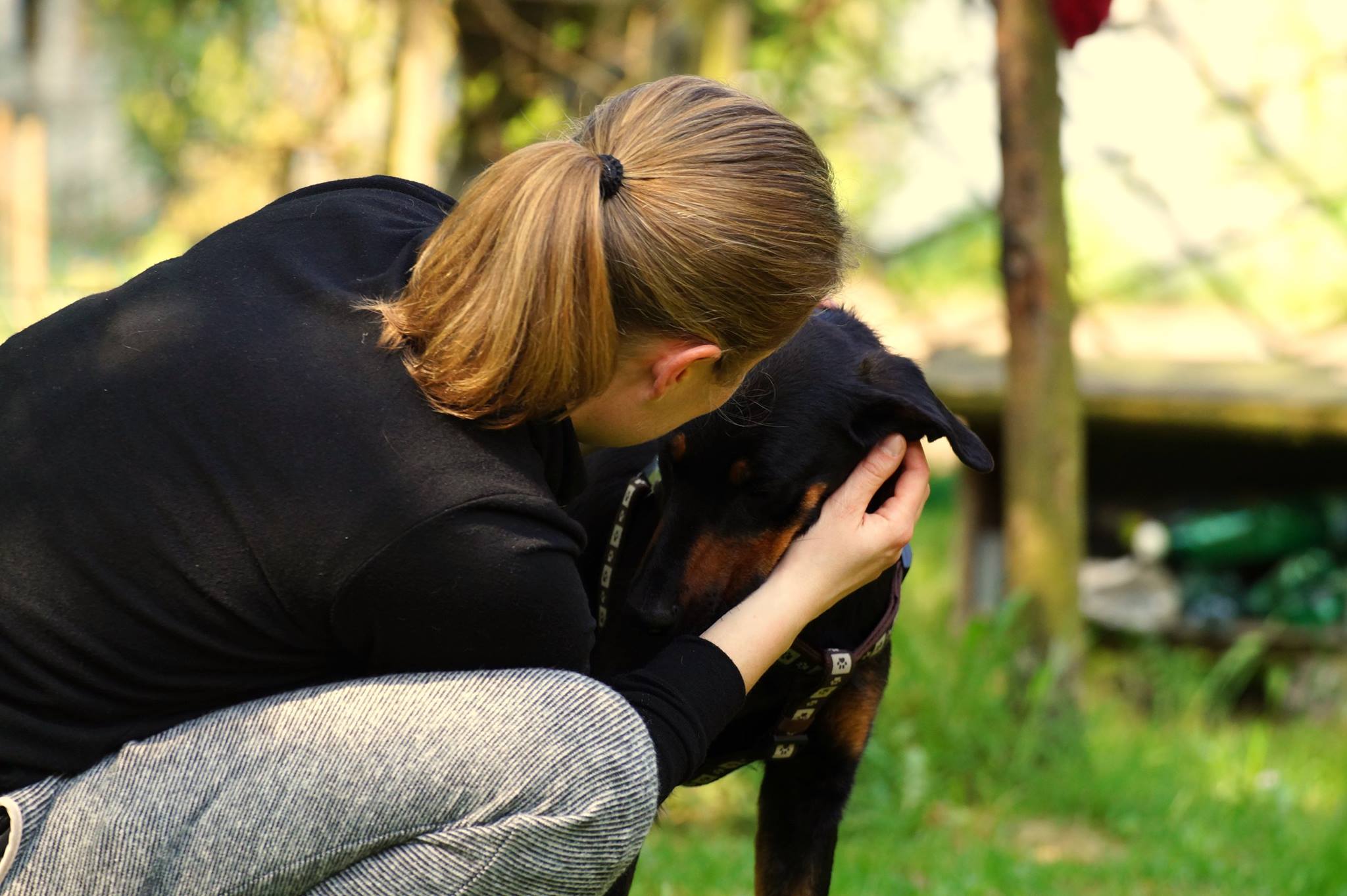 Zoya adoptowana - zamieszkała w Łagiewnikach pod Wrocławiem
