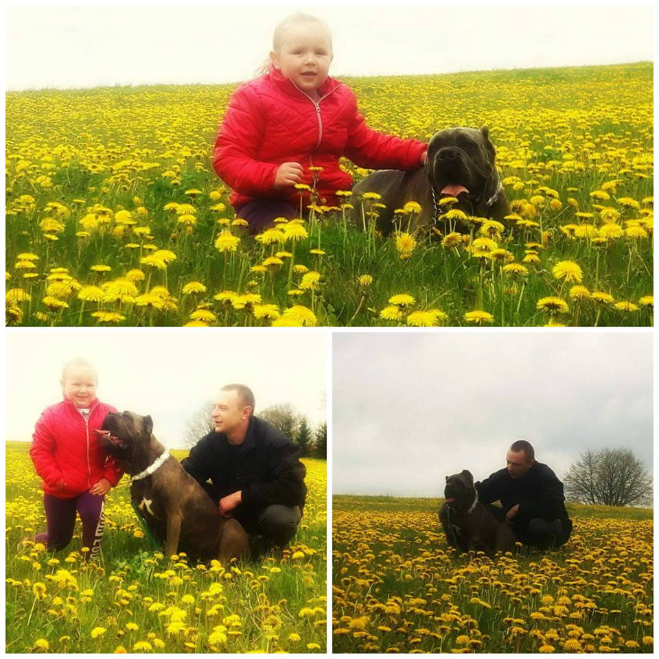 Atena też znalazła swój kochający dom