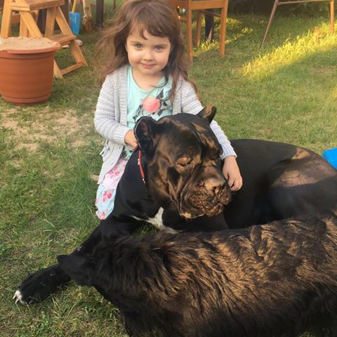 Pozdrowienia przesyła Graf