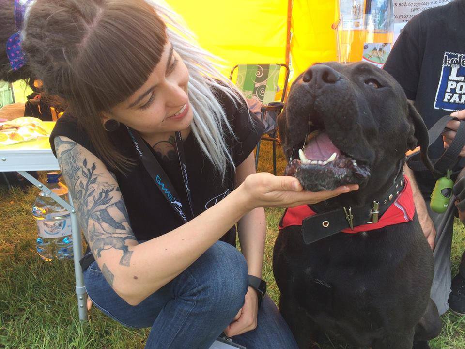 Risu/Rysiu adoptowany 15.05.2017, zamieszkał w Poznaniu