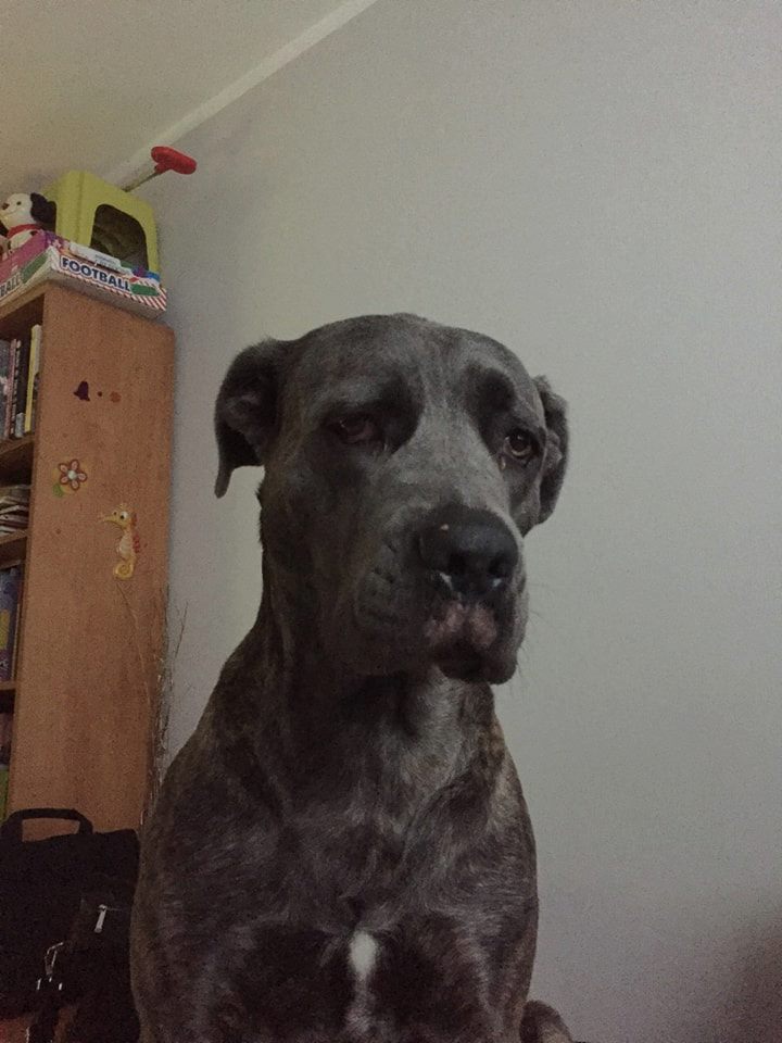 Witamy na pokładzie Torę