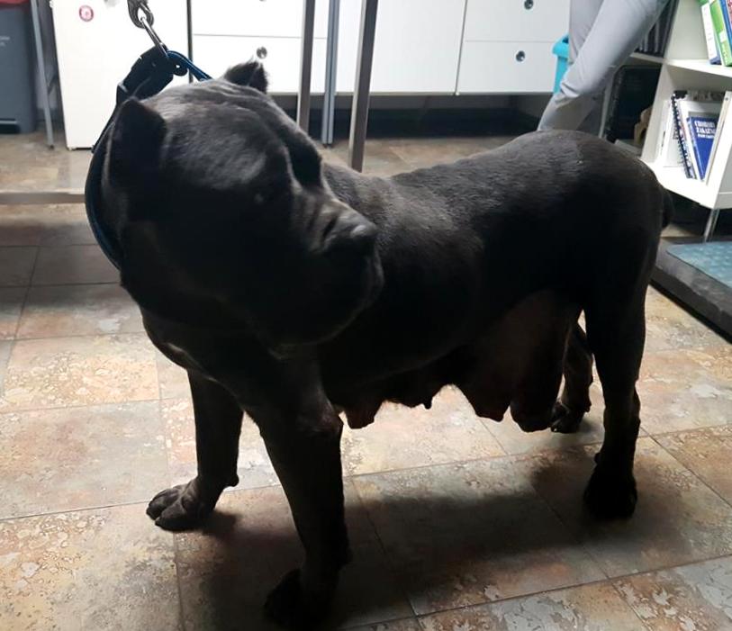 OPERACJA LILU 21 marca 2018