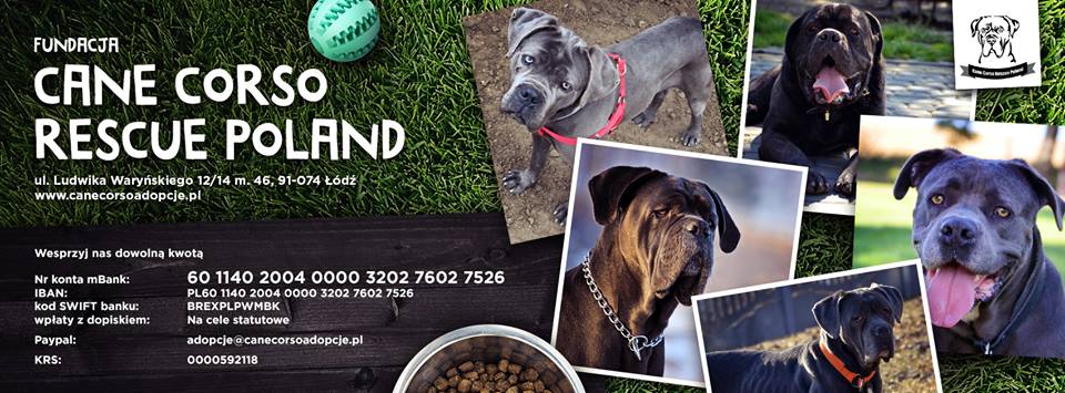 BAZAREK dla corsiaków-zapraszamy. Mnóstwo unikatowych fantów :) 