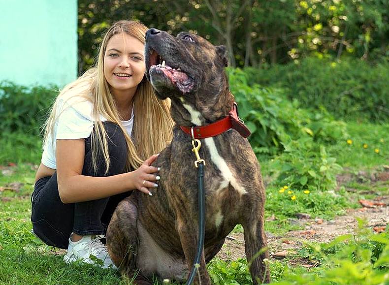 LESTER- cudowne psie czeka na swój DOM