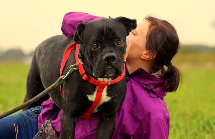 Adoptuj Bąbelka nim nadejdzie zima. Prosimy :( 