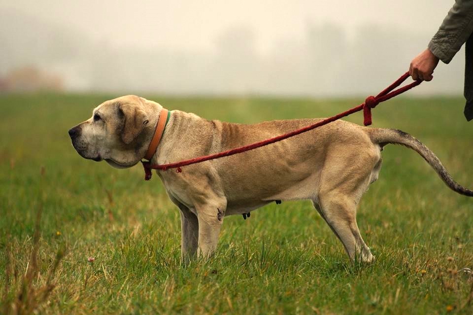 ZACISKAMY KCIUKI ZA NASZĄ BABCIĘ- FILADELFIĘ !!!