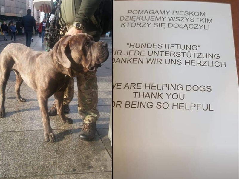 ! UWAGA ! TEN PAN NIE MA NIC WSPÓLNEGO Z NASZĄ FUNDACJĄ