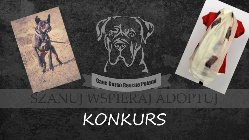 #wspieramCCRP - Wygraj fotoobraz i nie tylko