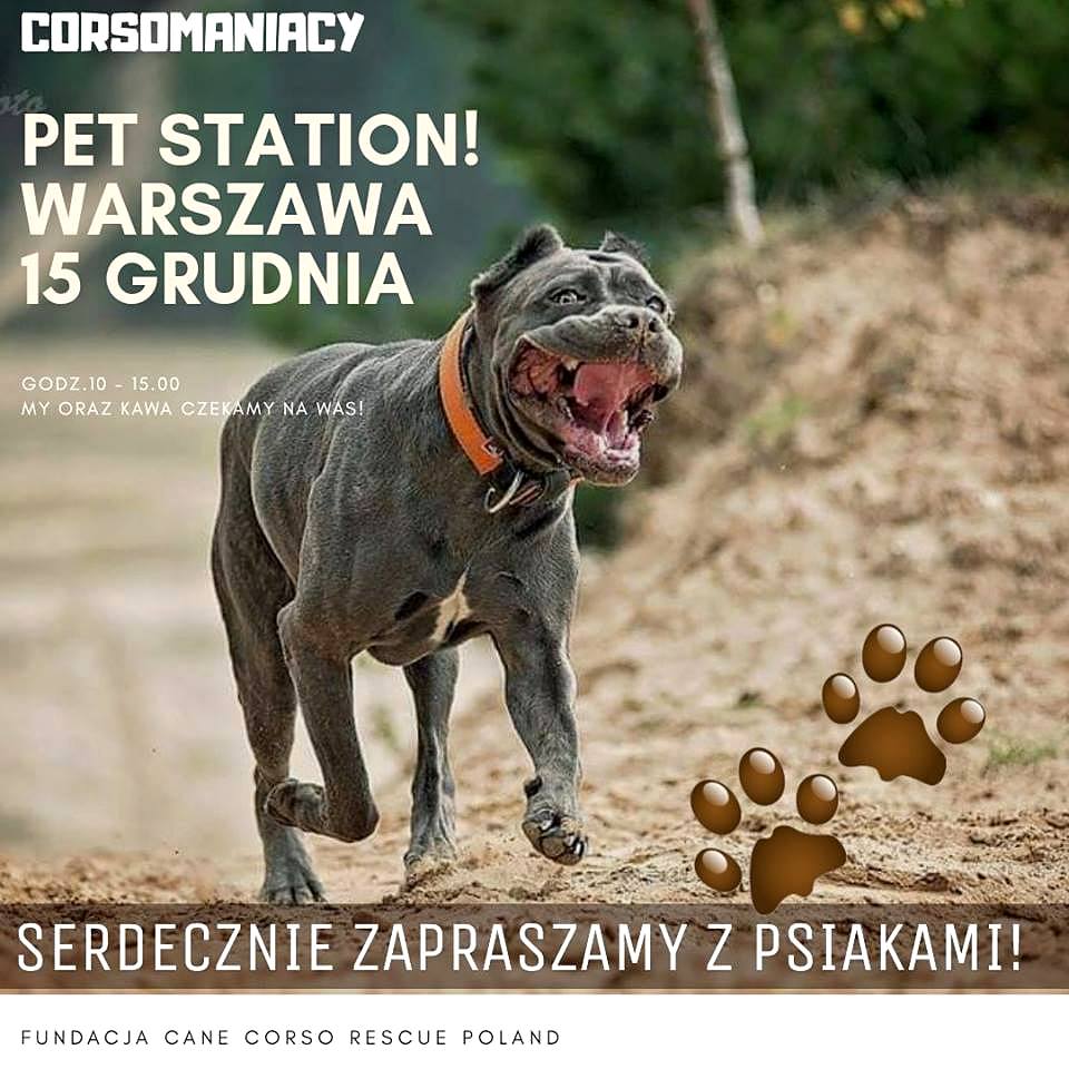 Zapraszamy na spotkanie! 15 grudnia 2018r. (sobota)  godz.10 - 15.00 w sklepie Pet Station ul.Klimaczka 13 Wilanów - WARSZAWA. 
