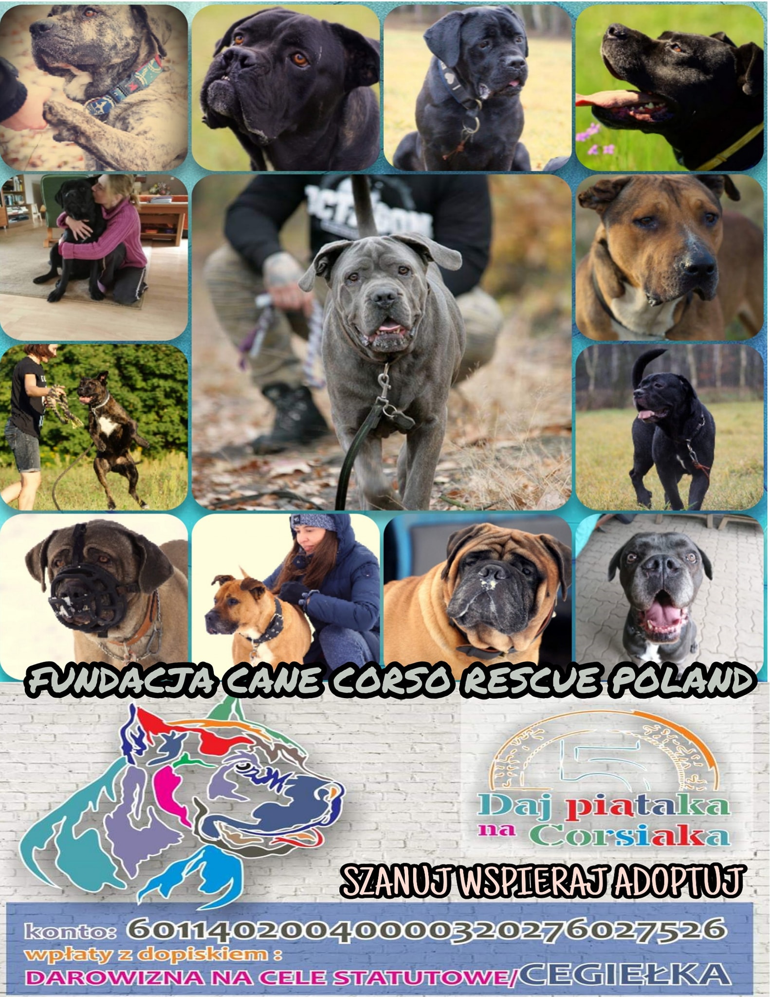 Zwracamy się z prośbą o pomoc <3