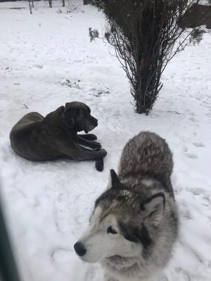 Nowi na pokładzie... Każdy grosz się liczy <3